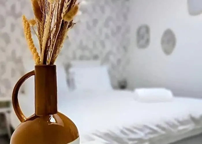 Apartment Le Petit Bellerade Malo Les Bains Dunkirk